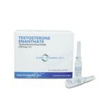 Euro-Pharmacies-Testosterone_Enanthate_-_250mg-ml_1ml-amp
