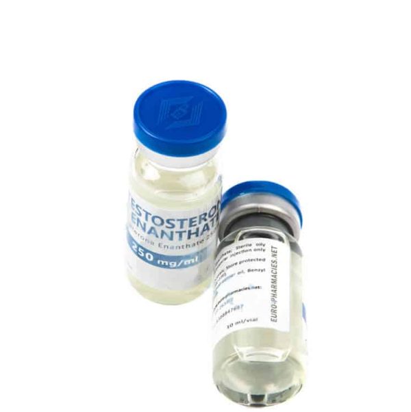 Testostérone Enan fiole Euro