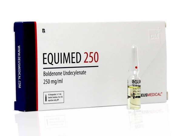 DEUSMEDICAL EQUIMED 250 フロント+AMP フロント