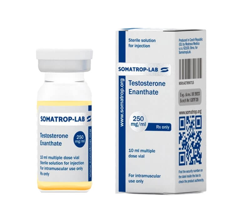 testosterone enantato 250 somatroplab