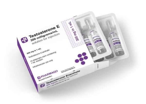 Pharmaqo TESTOSTERONE E Ampoules